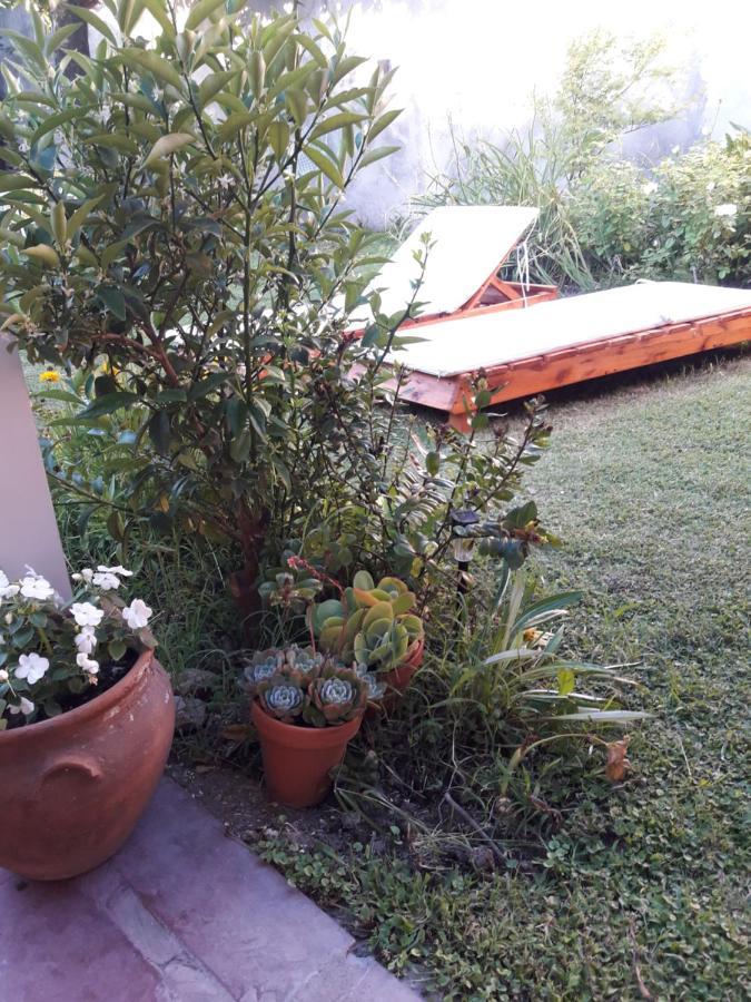 La Biblioteca Apartment Olavarria Exterior photo